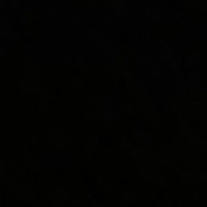 Meet your Posher, Hazel